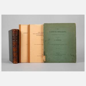 Konvolut Morphologie/Paläontologie