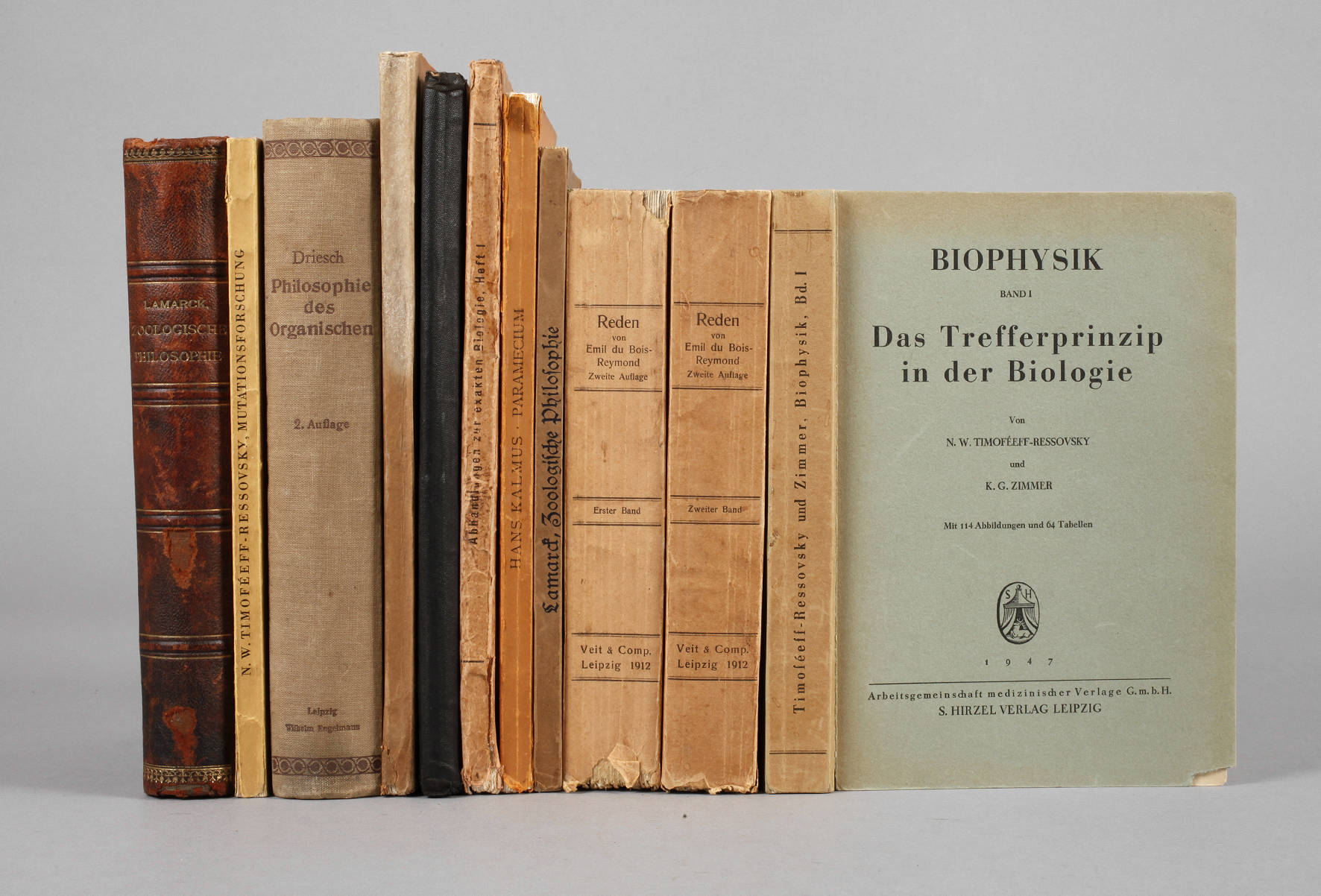 Konvolut Naturforschung