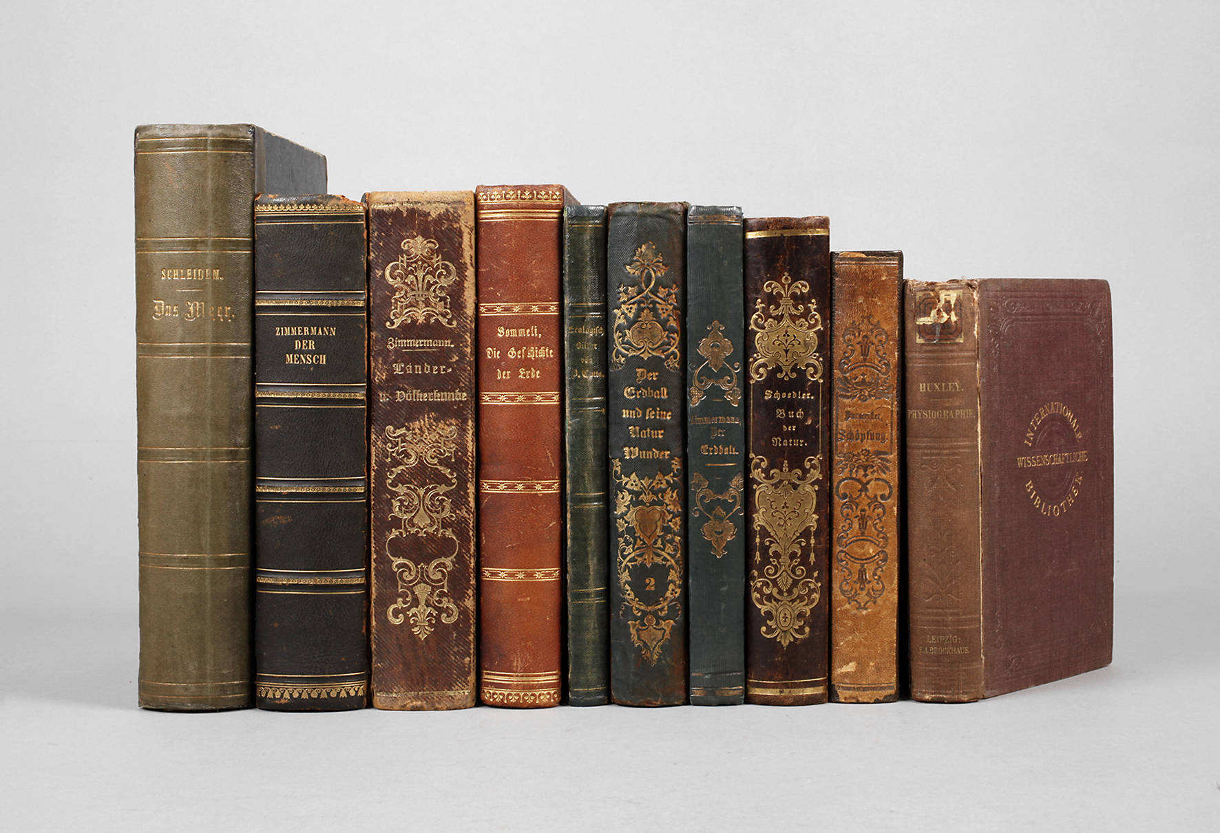 Konvolut Naturwissenschaft im 19. Jh.
