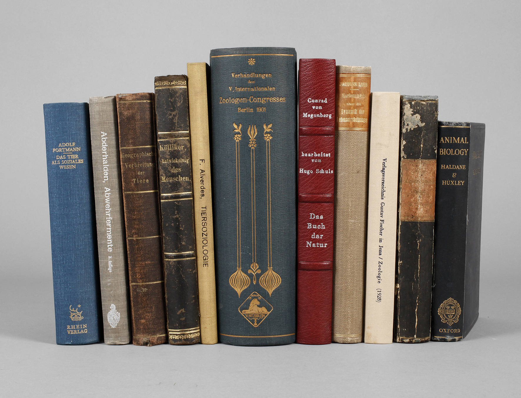 Konvolut Zoologie und organische Chemie