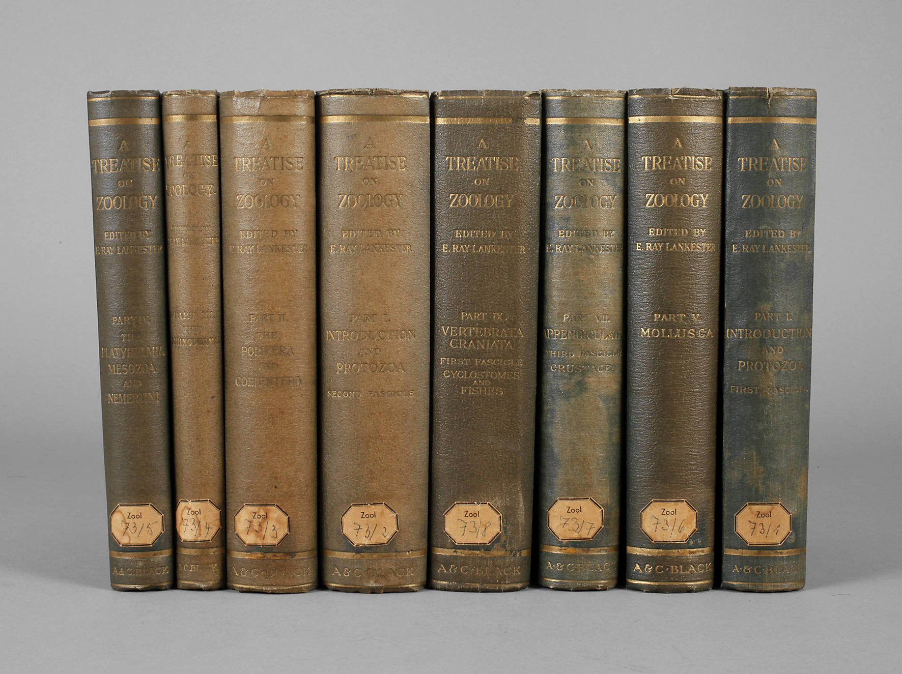 A Treatise on Zoology