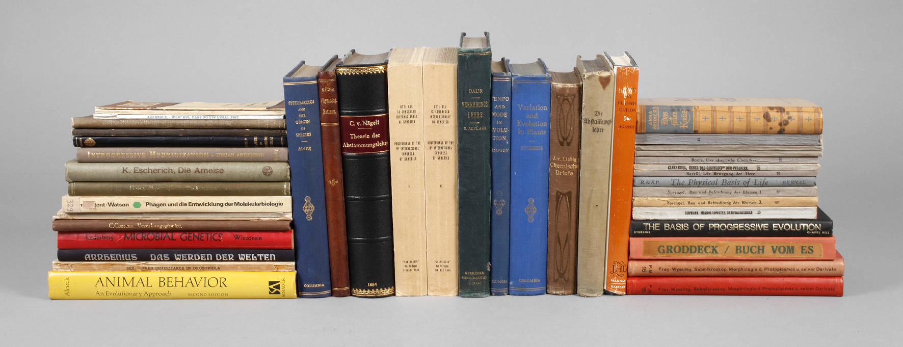 Großes Konvolut wissenschaftliche Bücher