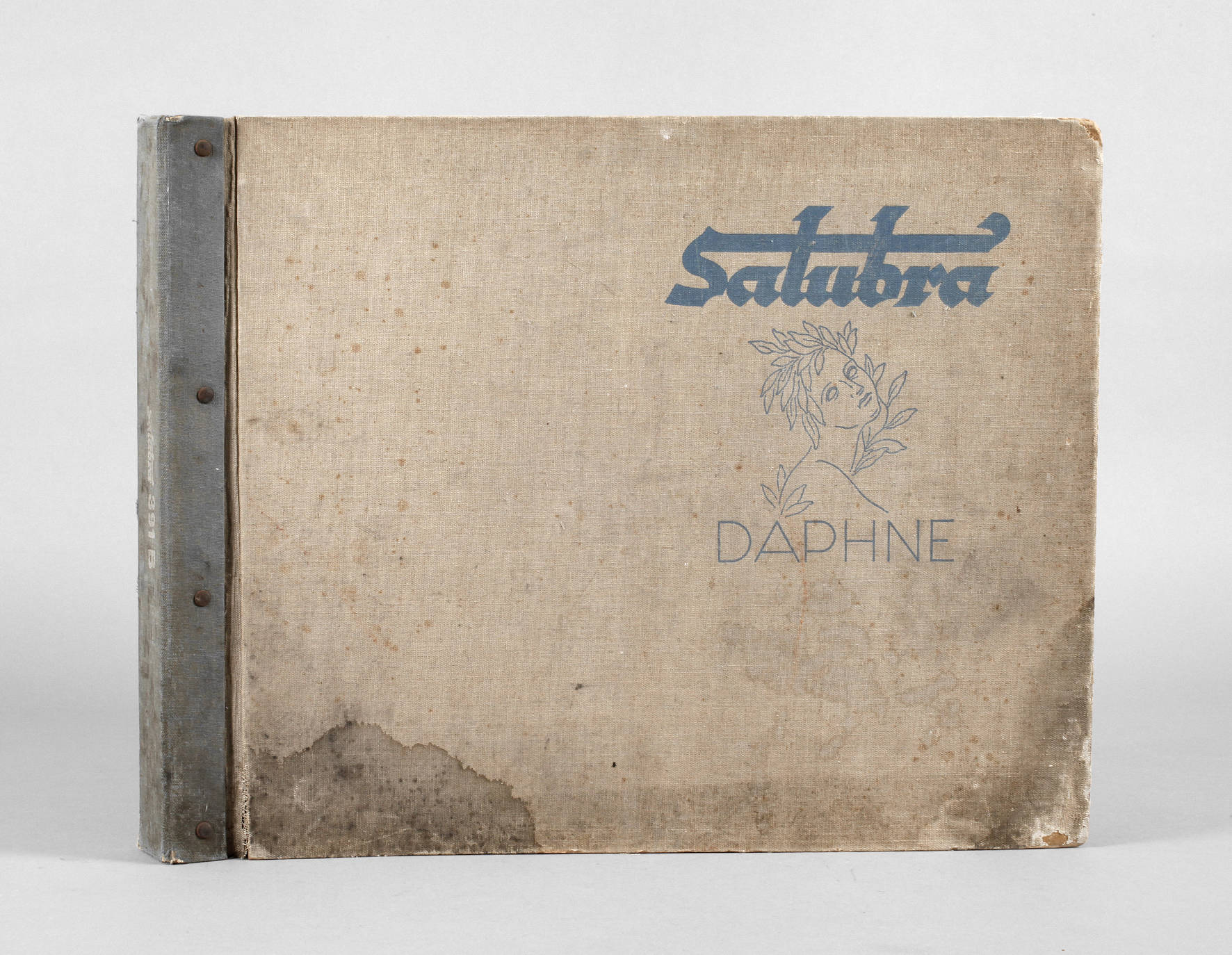 Tapetenmusterbuch Salubra