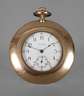 Taschenuhr Waltham Gold