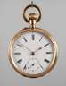 Taschenuhr Gold