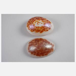 Palme-König & Habel Eidose