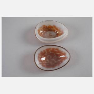 Palme-König & Habel Eidose