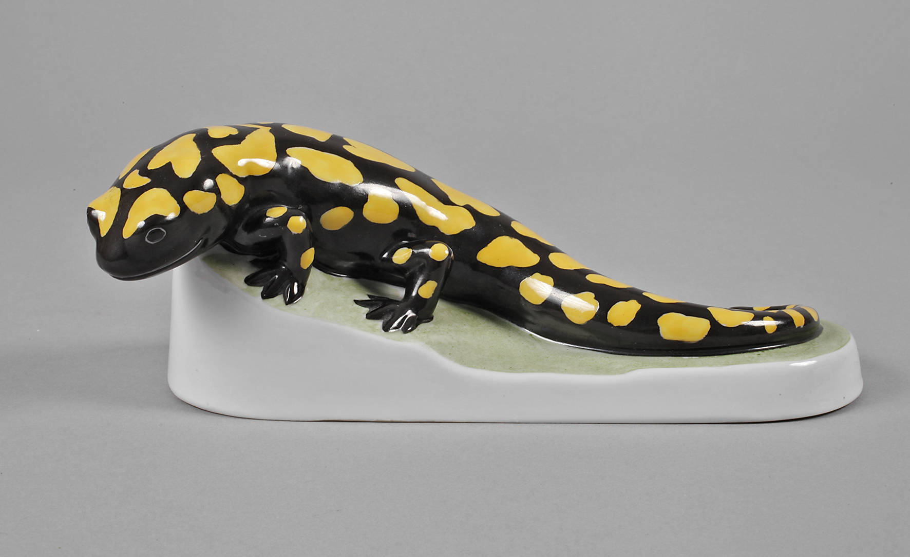 Fraureuth Feuersalamander