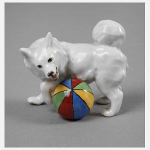 Meissen Kleiner Spitz mit Ball