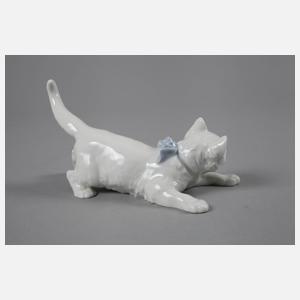 Meissen schleichende Katze