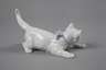 Meissen schleichende Katze