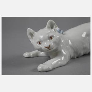Meissen schleichende Katze