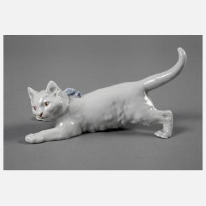 Meissen schleichende Katze