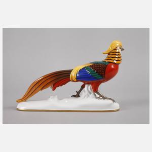 Zeh, Scherzer & Co. Goldfasan