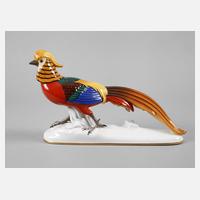 Zeh, Scherzer & Co. Goldfasan111