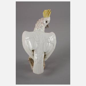 Augarten Wien Kakadu