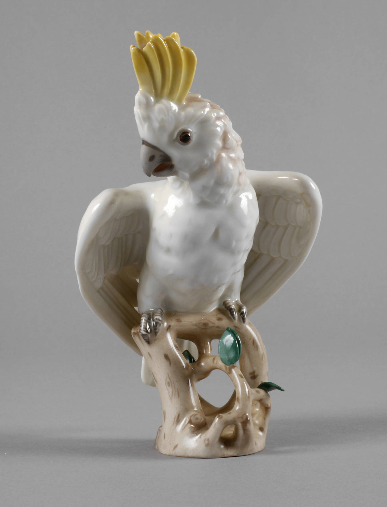 Augarten Wien Kakadu