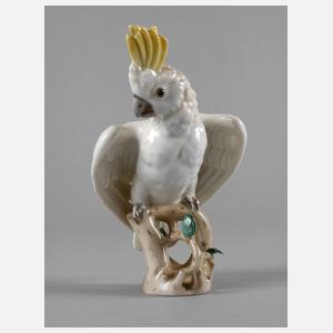 Augarten Wien Kakadu