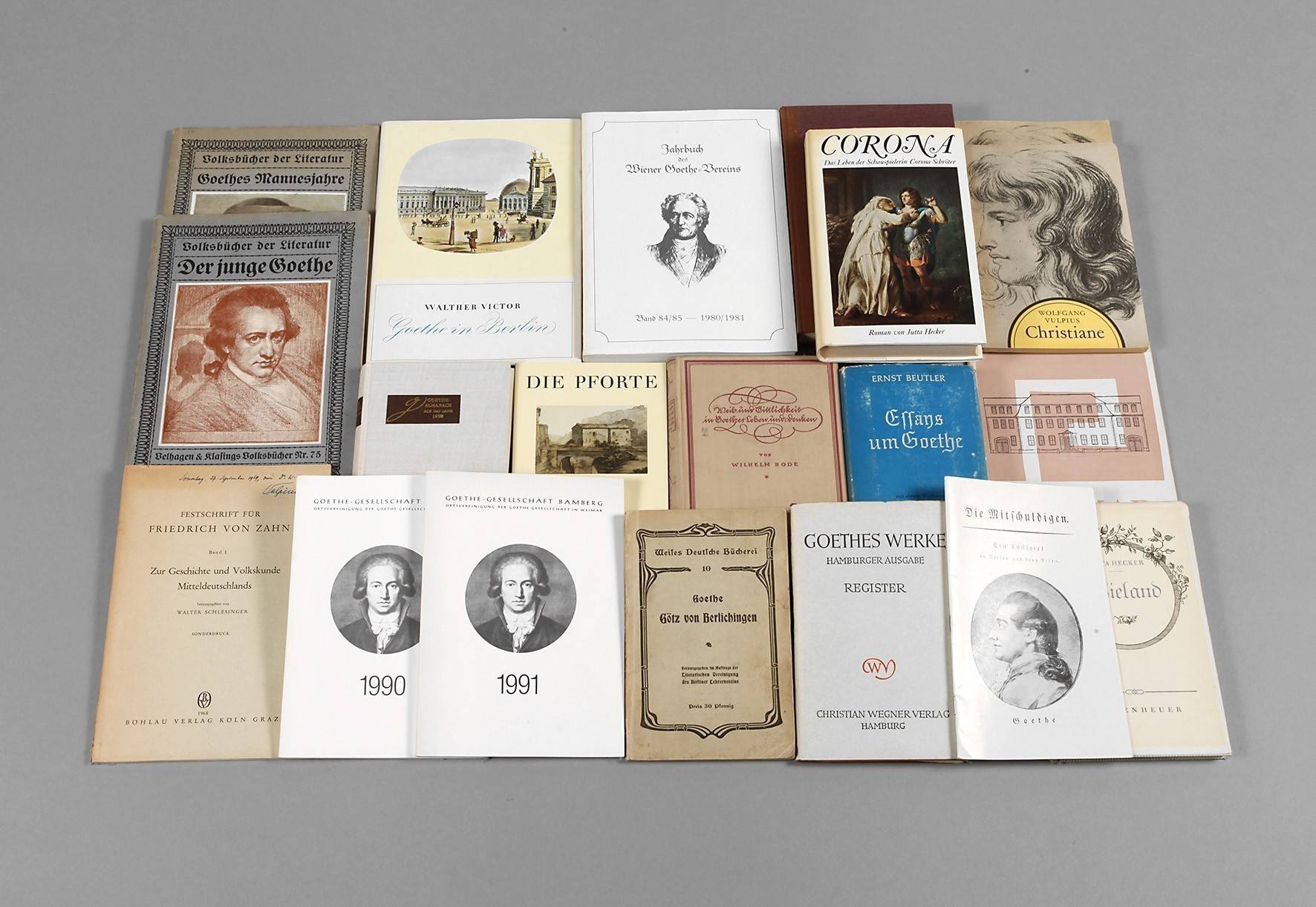 Konvolut Fachliteratur Goethe
