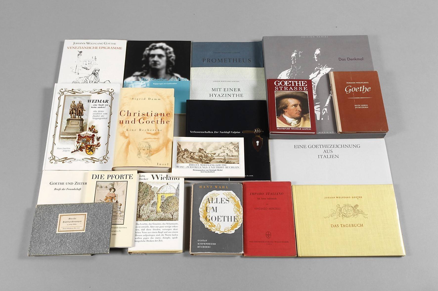 Konvolut Fachliteratur Goethe