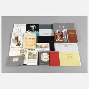Konvolut Fachliteratur Goethe