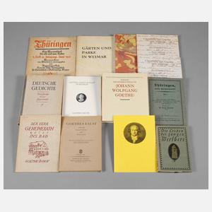 Konvolut Fachliteratur Goethe