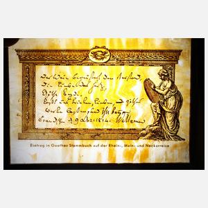 Acht Rahmen mit Portraitfotos