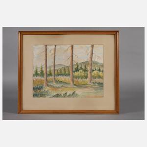 ”Blick von der Voigtsgrüner Höhe”