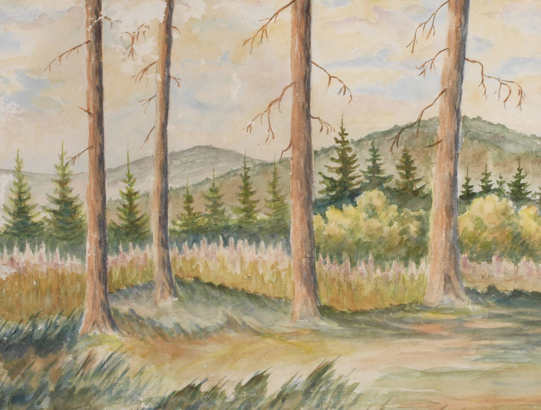 ”Blick von der Voigtsgrüner Höhe”