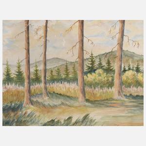 ”Blick von der Voigtsgrüner Höhe”