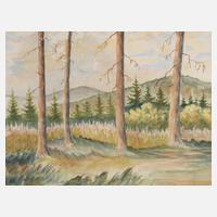 ”Blick von der Voigtsgrüner Höhe”111