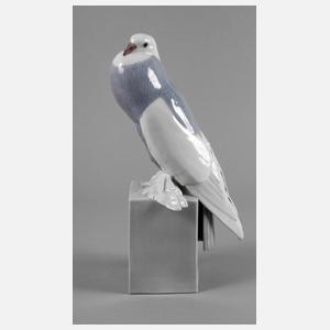 Heubach Taube mit Federfüßen