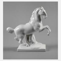 KPM Berlin steigendes Pferd111