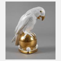 Kunstfachschule Selb Papagei111