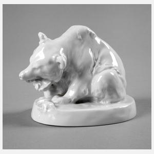 Meissen fressender Bär