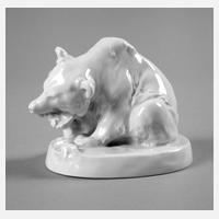 Meissen fressender Bär111