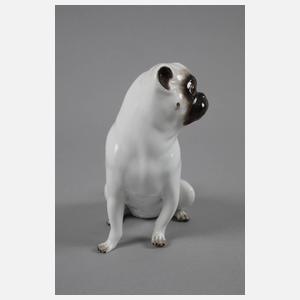 Meissen Mops