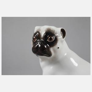 Meissen Mops
