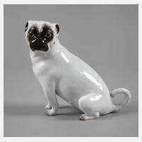 Meissen Mops111