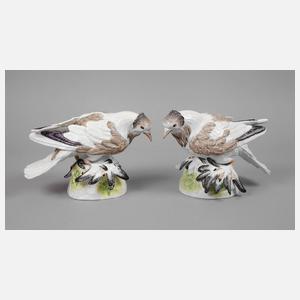 Meissen Paar Trommeltauben (Pigeon)