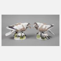 Meissen Paar Trommeltauben (Pigeon)111