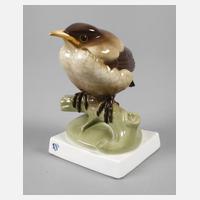 Nymphenburg ”Junge Amsel”111