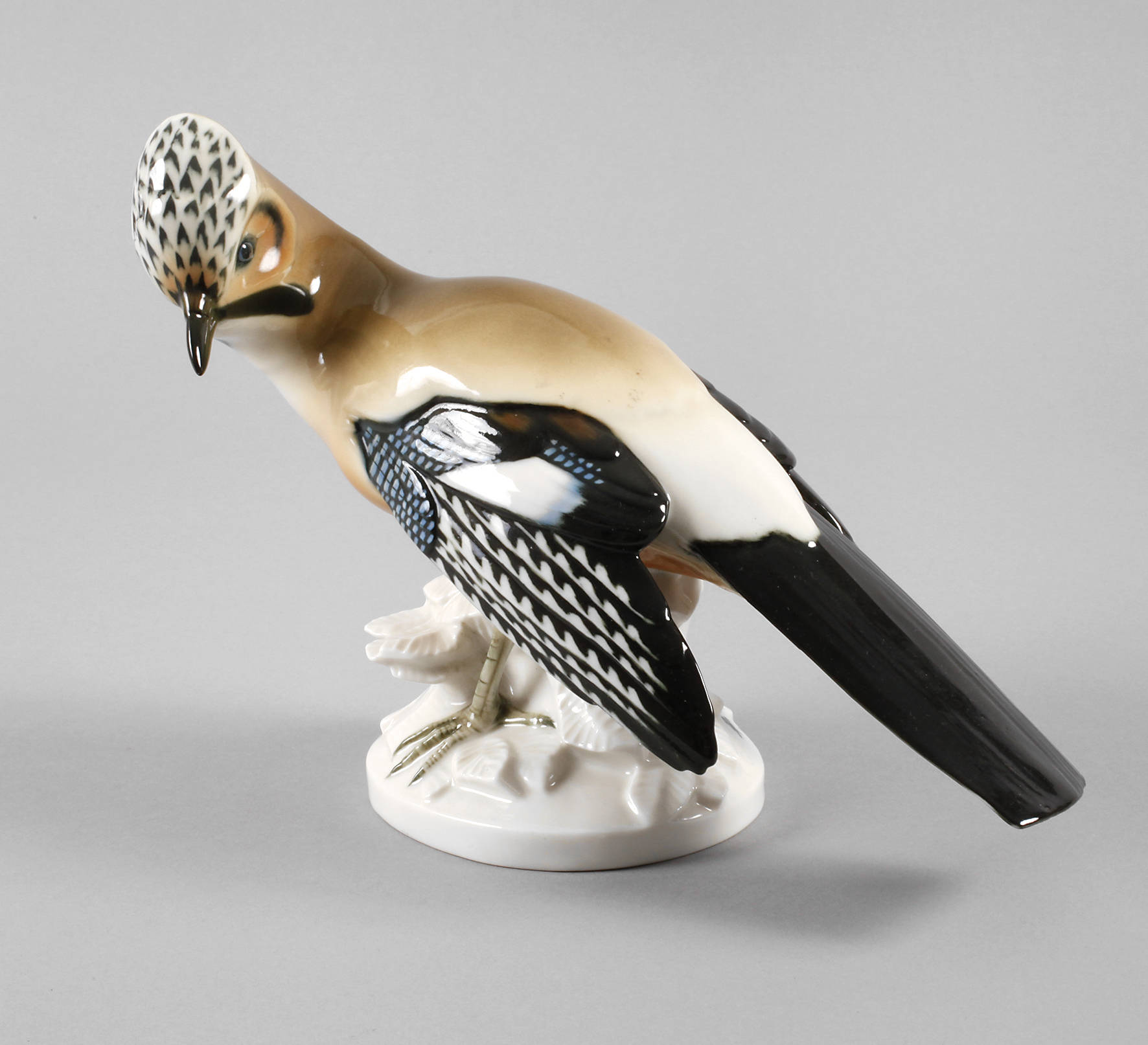 Passau ”Eichelhäher”