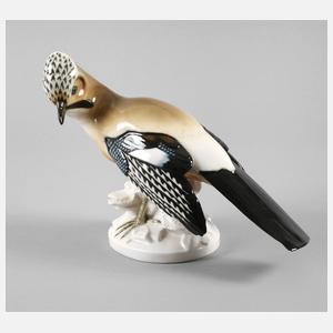 Passau ”Eichelhäher”