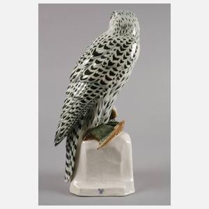 Passau ”Gerfalke mit Beute”