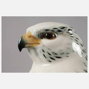 Passau ”Gerfalke mit Beute”