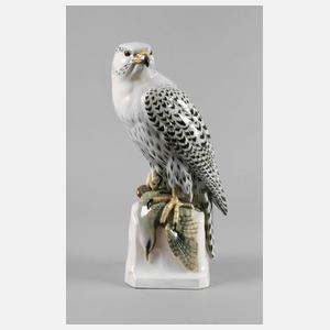 Passau ”Gerfalke mit Beute”