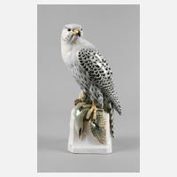 Passau ”Gerfalke mit Beute”111