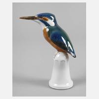 Pfeffer Gotha Eisvogel111