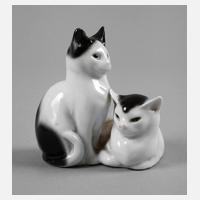 Pfeffer Gotha Katzenpaar111